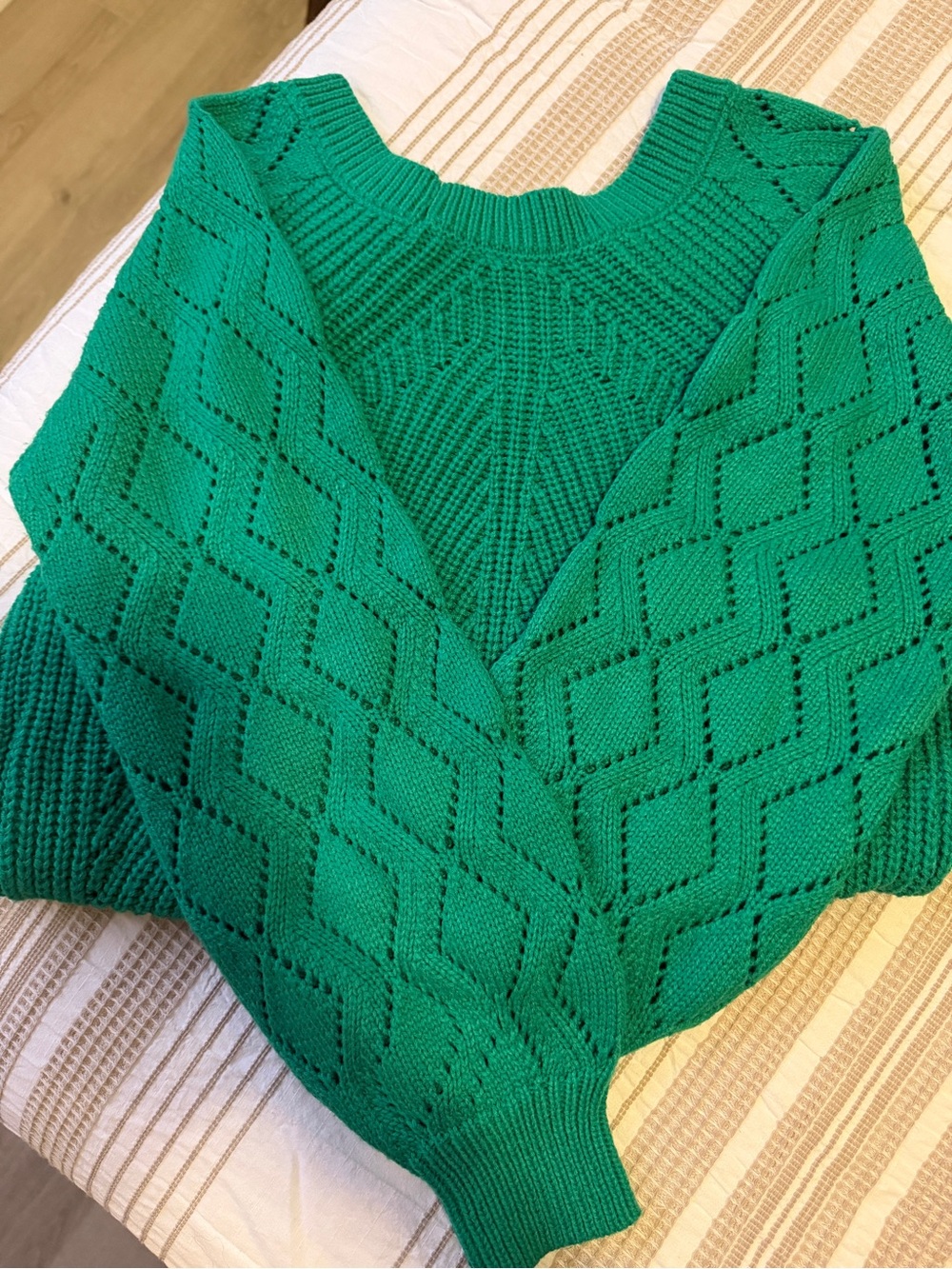 Green Openwork Balloon Sleeve Sweater - Picture 3 of 4
